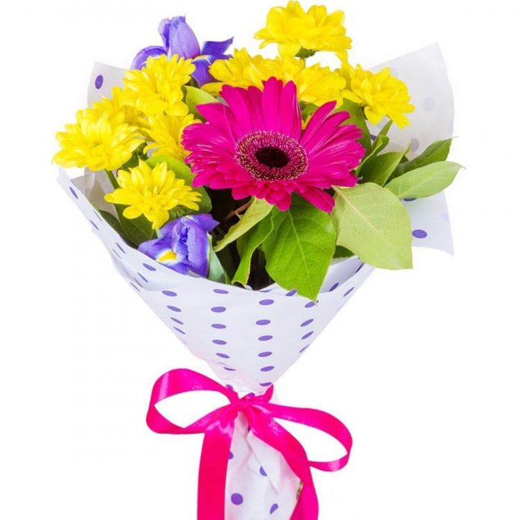 Радость от 3 900 руб.